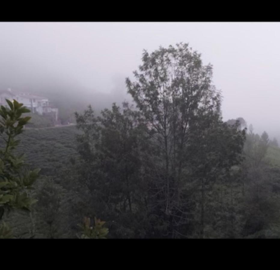 קוטאגירי The Valley Villa מראה חיצוני תמונה